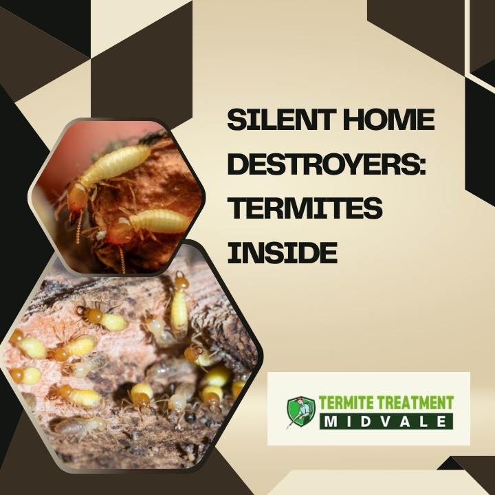 Hidden termite damage