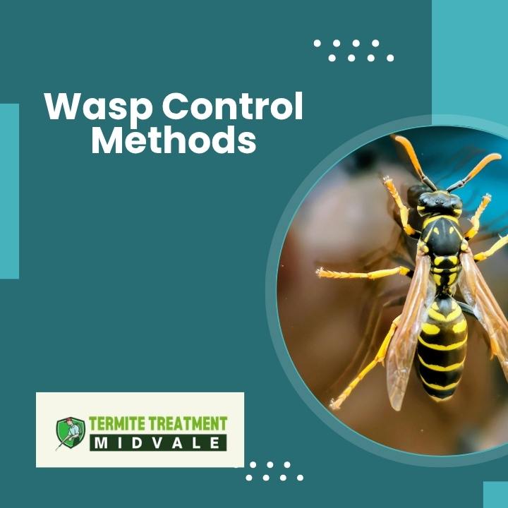 Safe wasp prevention