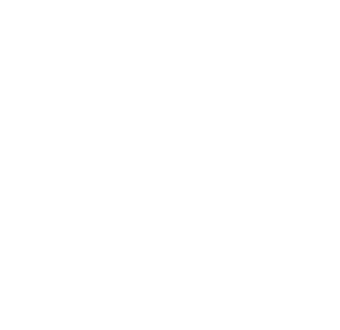 Lionheart Jiu Jitsu Logo