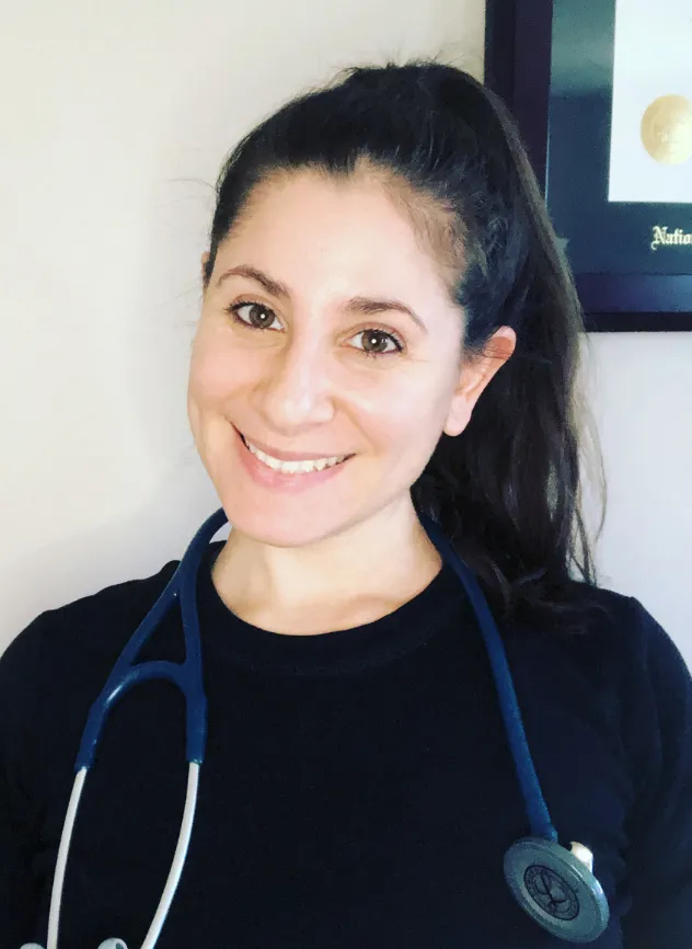 The Chiropractor in Novato, California
