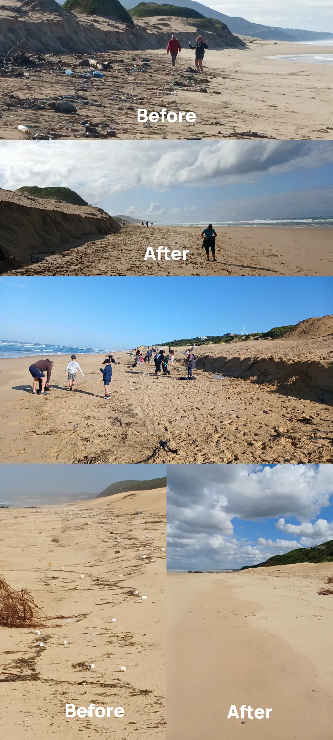 Coastal wildlife and dune conservation efforts at Blue Horizon Bay