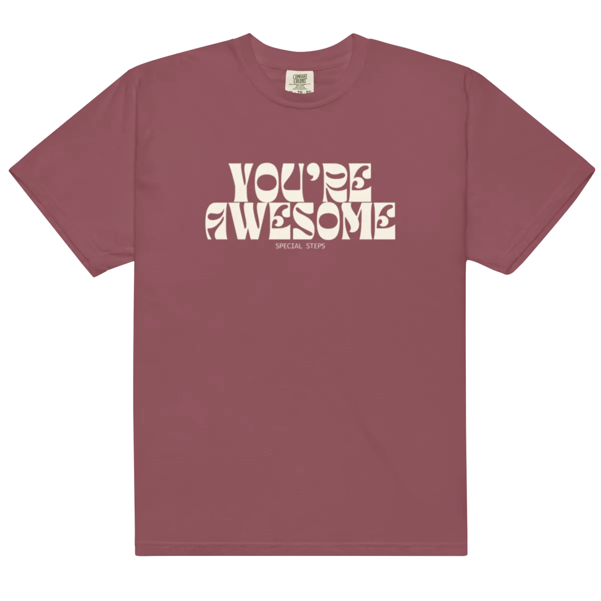 You're Awesome Special Steps Shirt