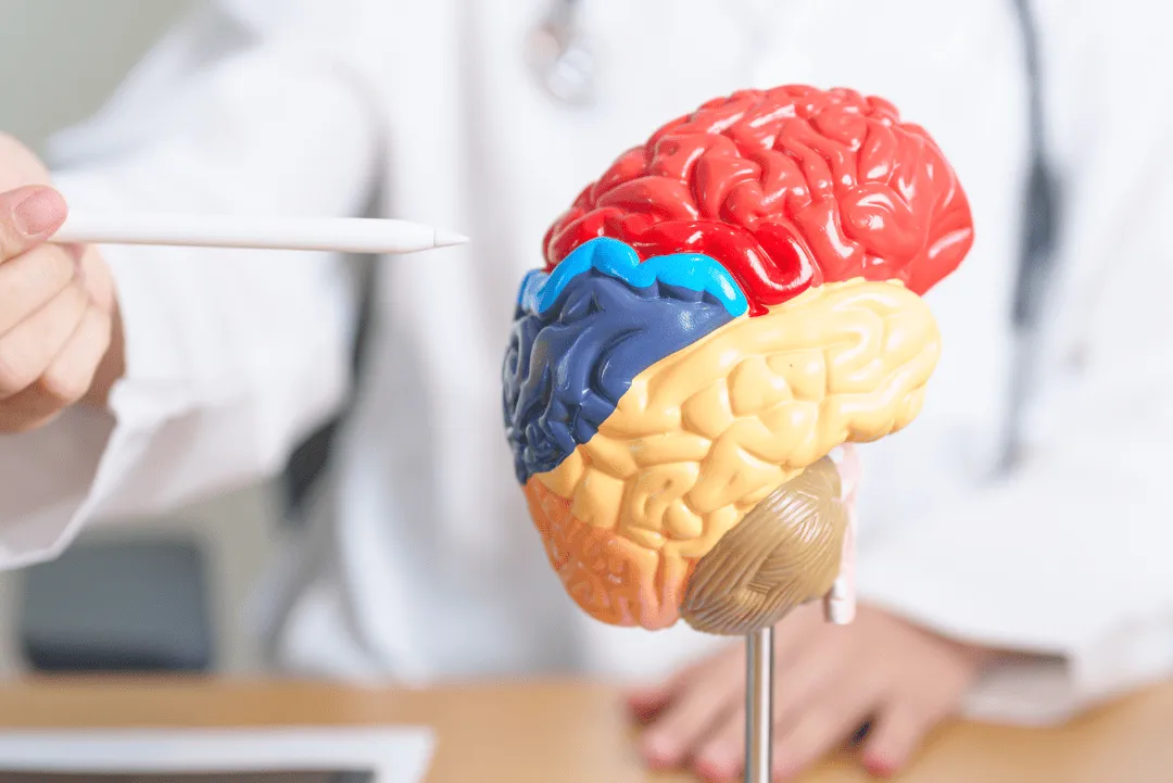 The 3-Step Approach to Changing Your Relationship with Alcohol by Addressing Neurotransmitters