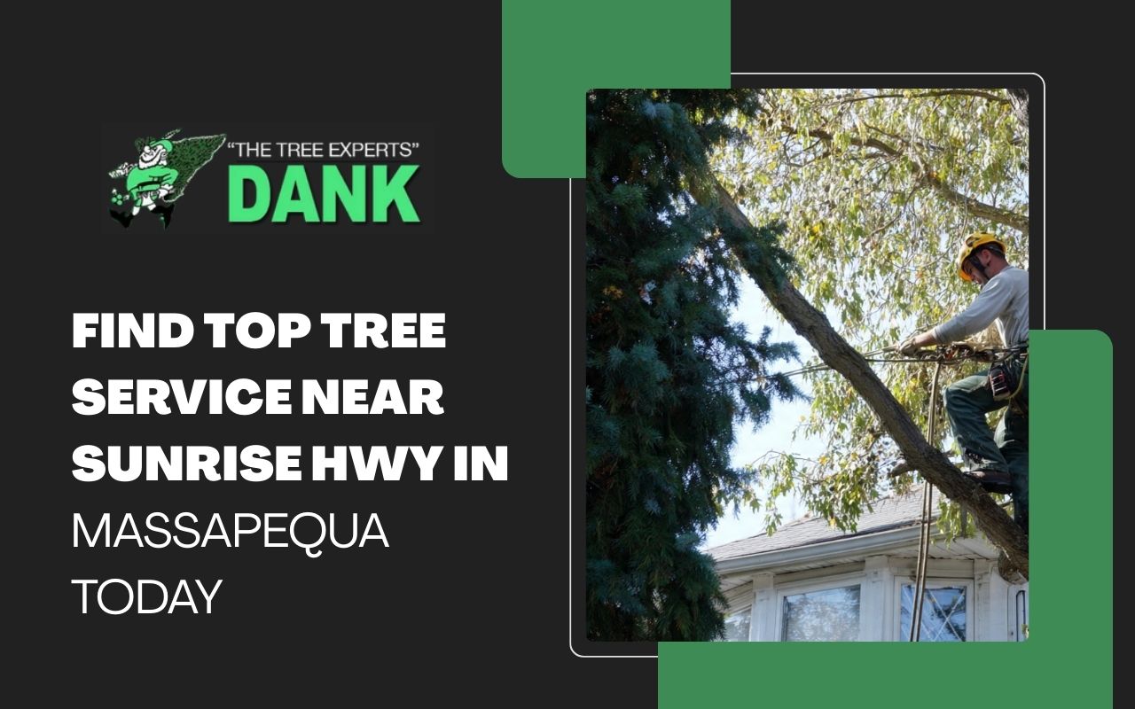 Find Top Tree Service Near Sunrise Hwy in Massapequa Today