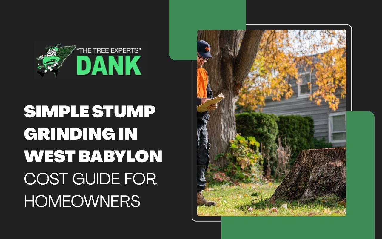 Simple stump grinding in West Babylon cost guide for homeowners