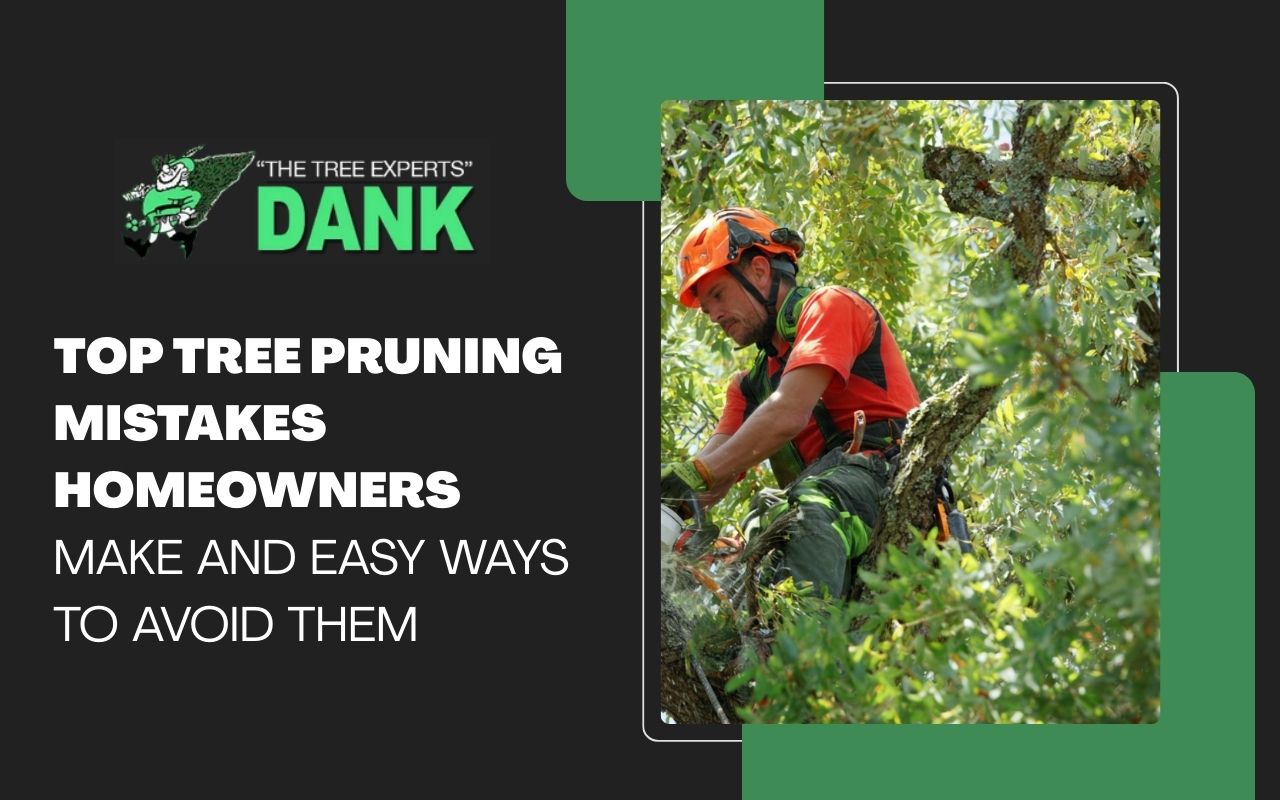 Top Tree Pruning Mistakes Homeowners Make and Easy Ways to Avoid Them