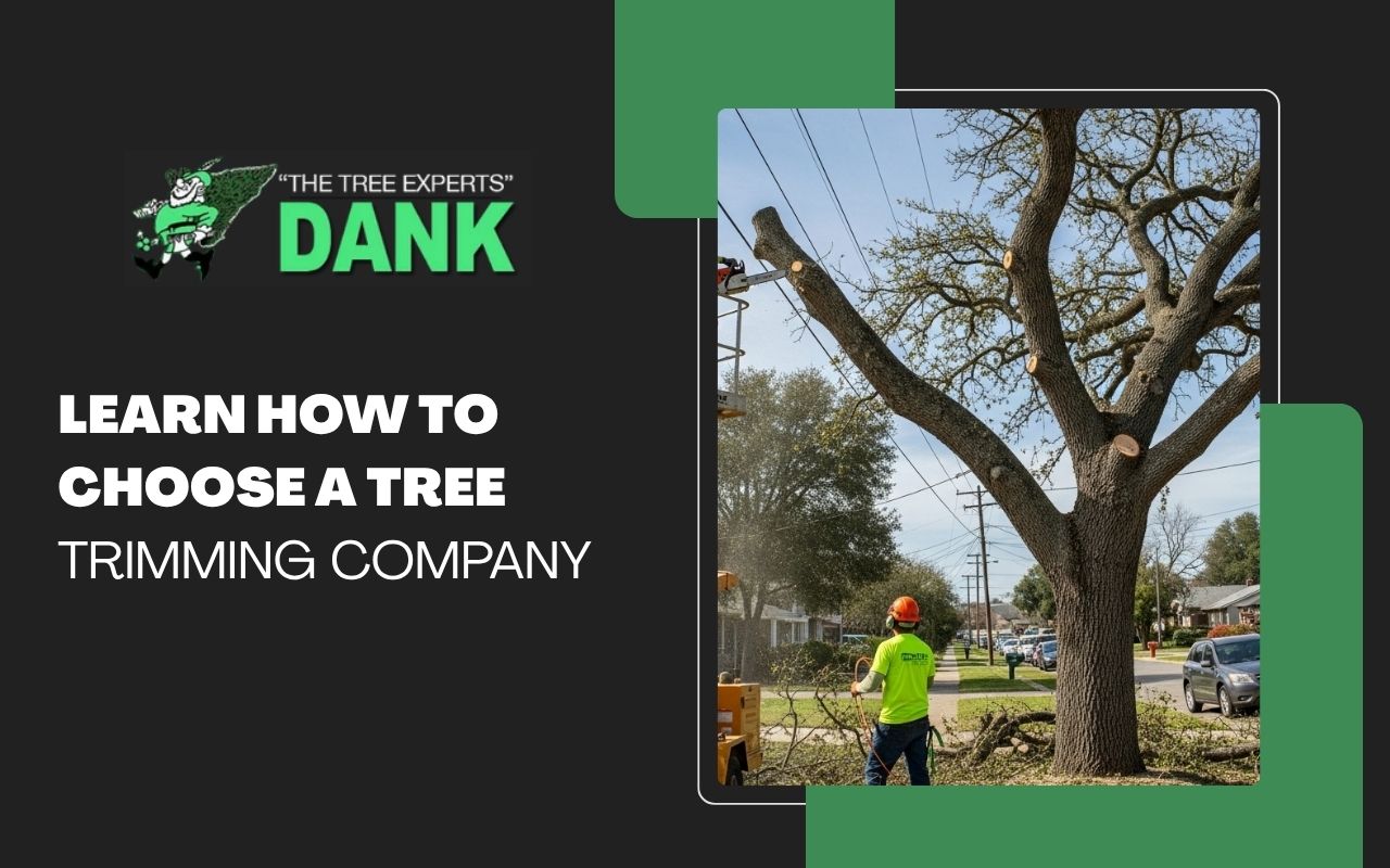 homeowner reviewing how to choose a tree trimming company with insurance checklist