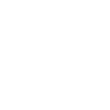 TikTok - Icon