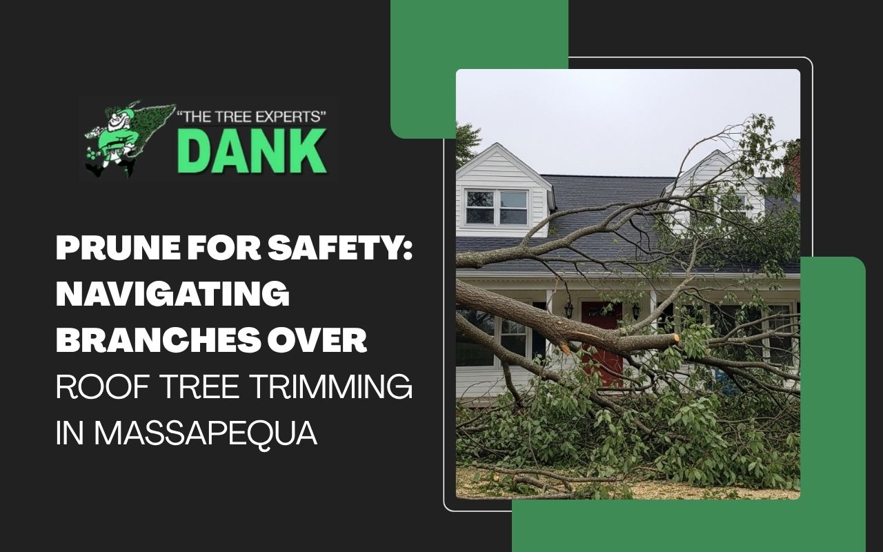 Branches over roof tree trimming in Massapequa for safer home protection
