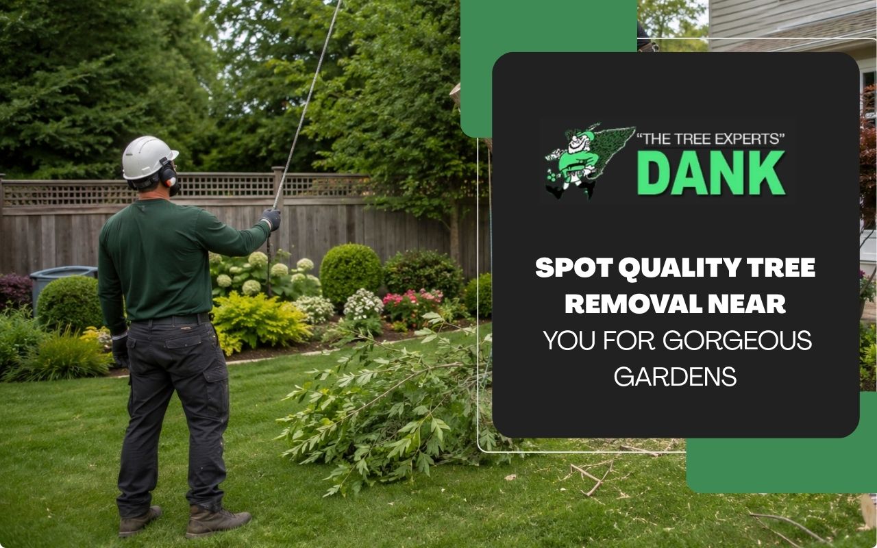 Tree removal near a home garden for safer outdoor space