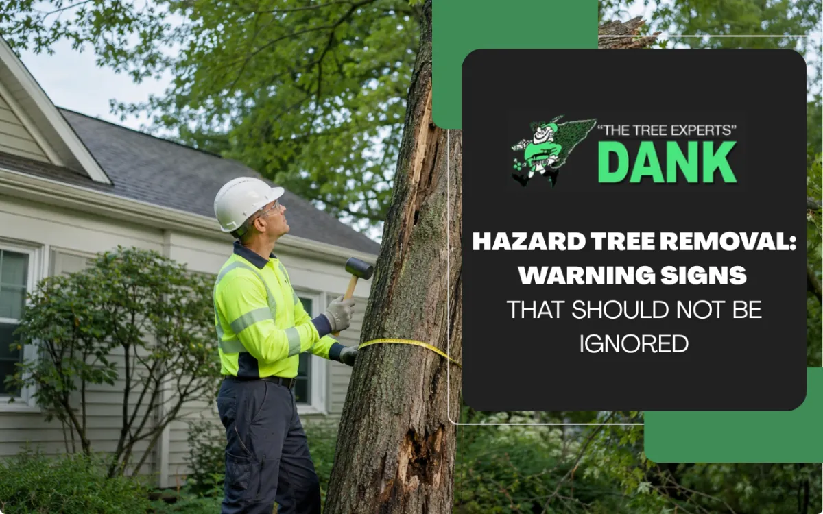Hazard tree removal assessment for a damaged tree near a home