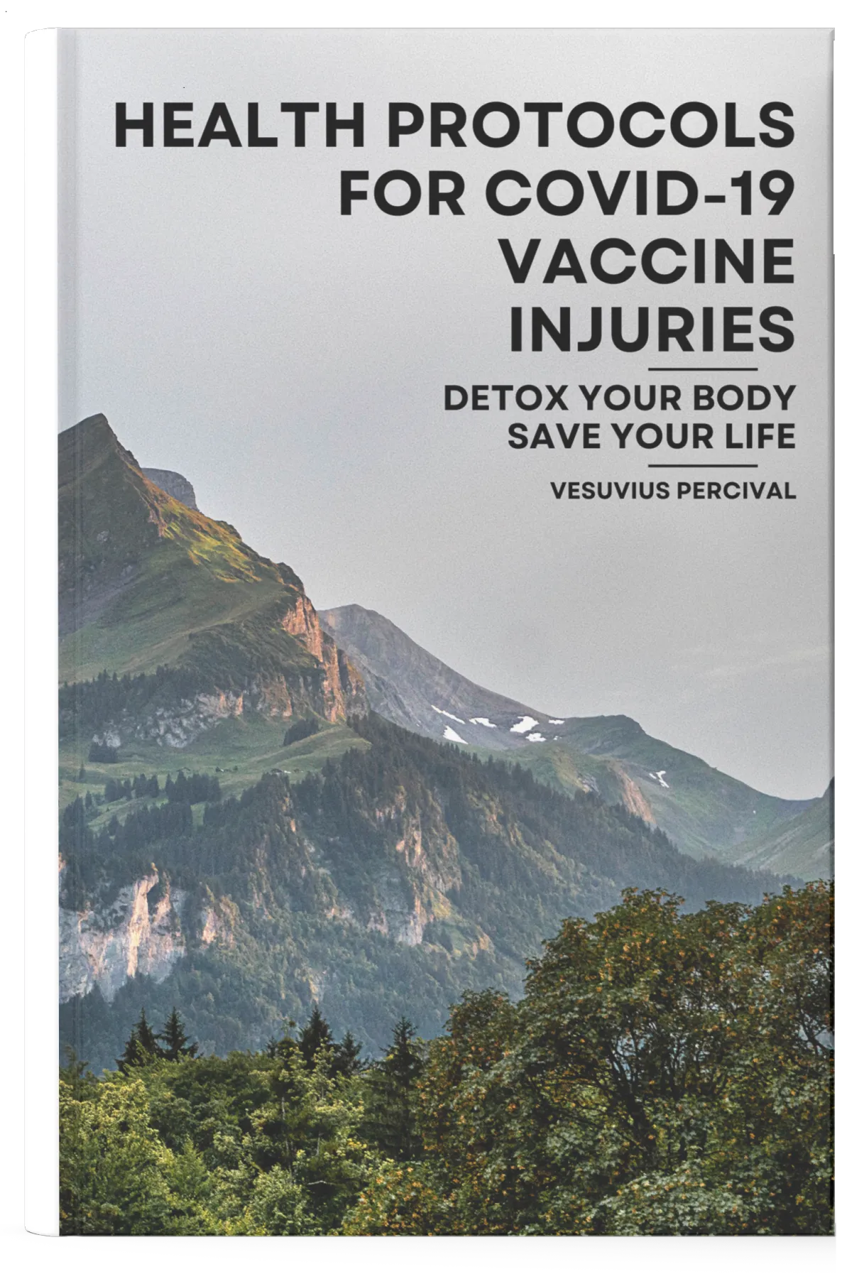 Image of a book titled 'Health Protocols for COVID-19 Vaccine Injuries: Detox Your Body, Save Your Life.' Highlights methods for addressing vaccine injuries, detoxification, and improving overall health.