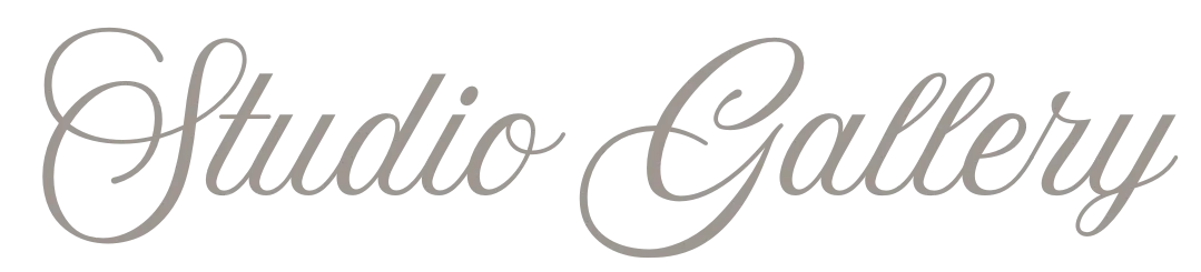 The Social Collective Studio logo