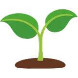 Rebecca P. Fox Plant Icon