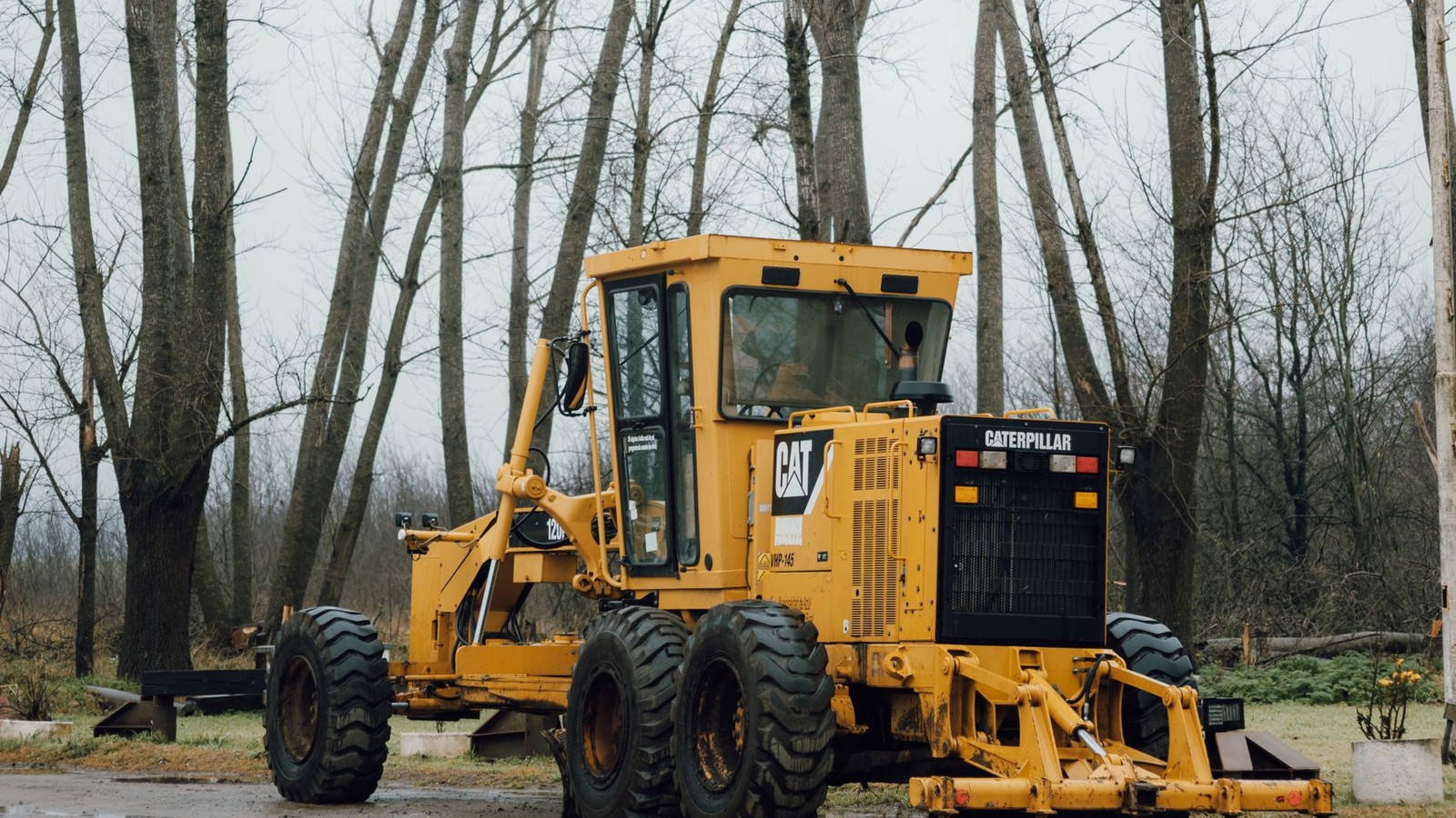 Yellow Caterpillar motor grader parked at the edge of a bare winter treeline