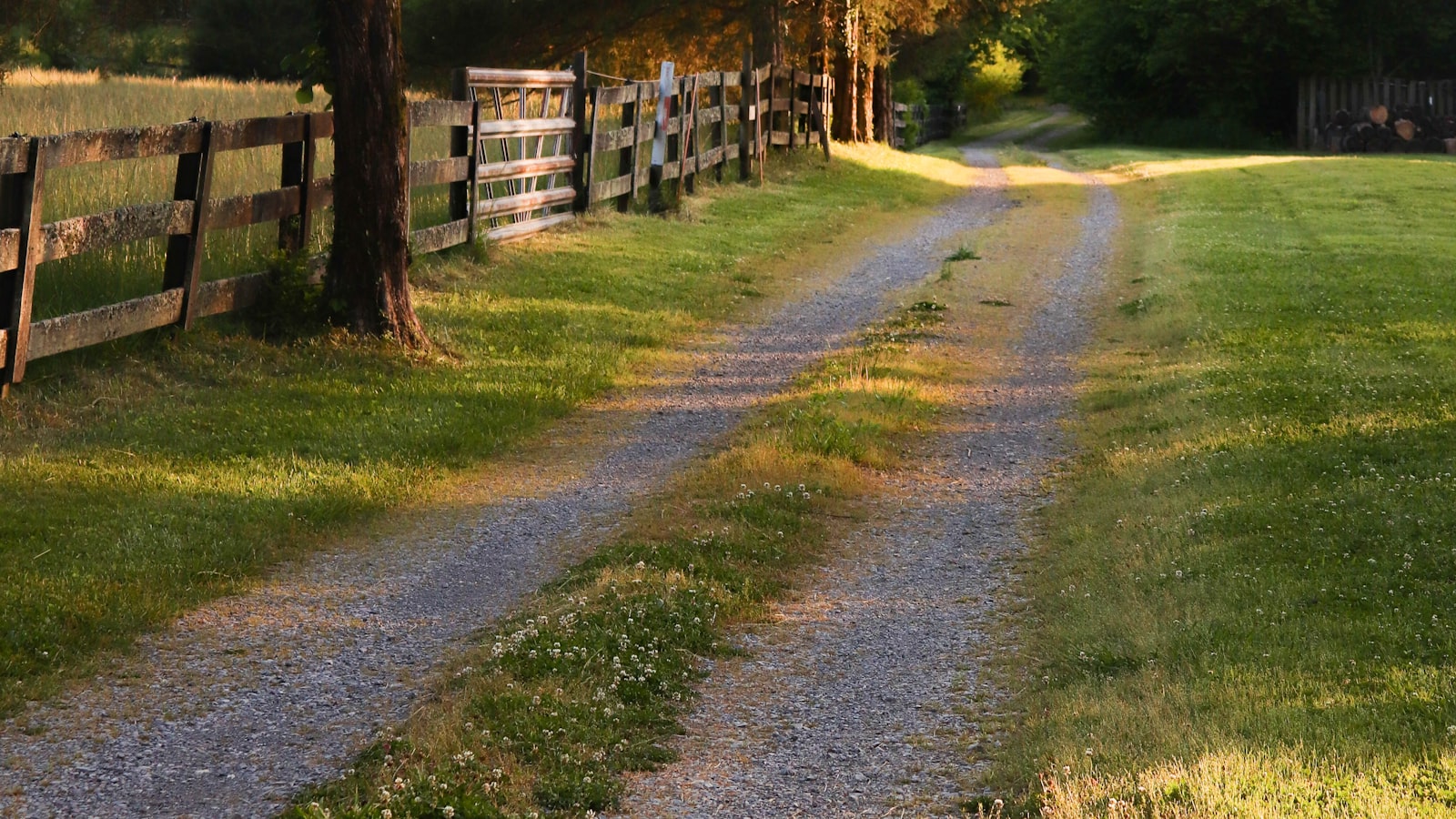 Rural Middle Tennessee gravel driveway running alongside a wood plank fence and farm gate at sunset