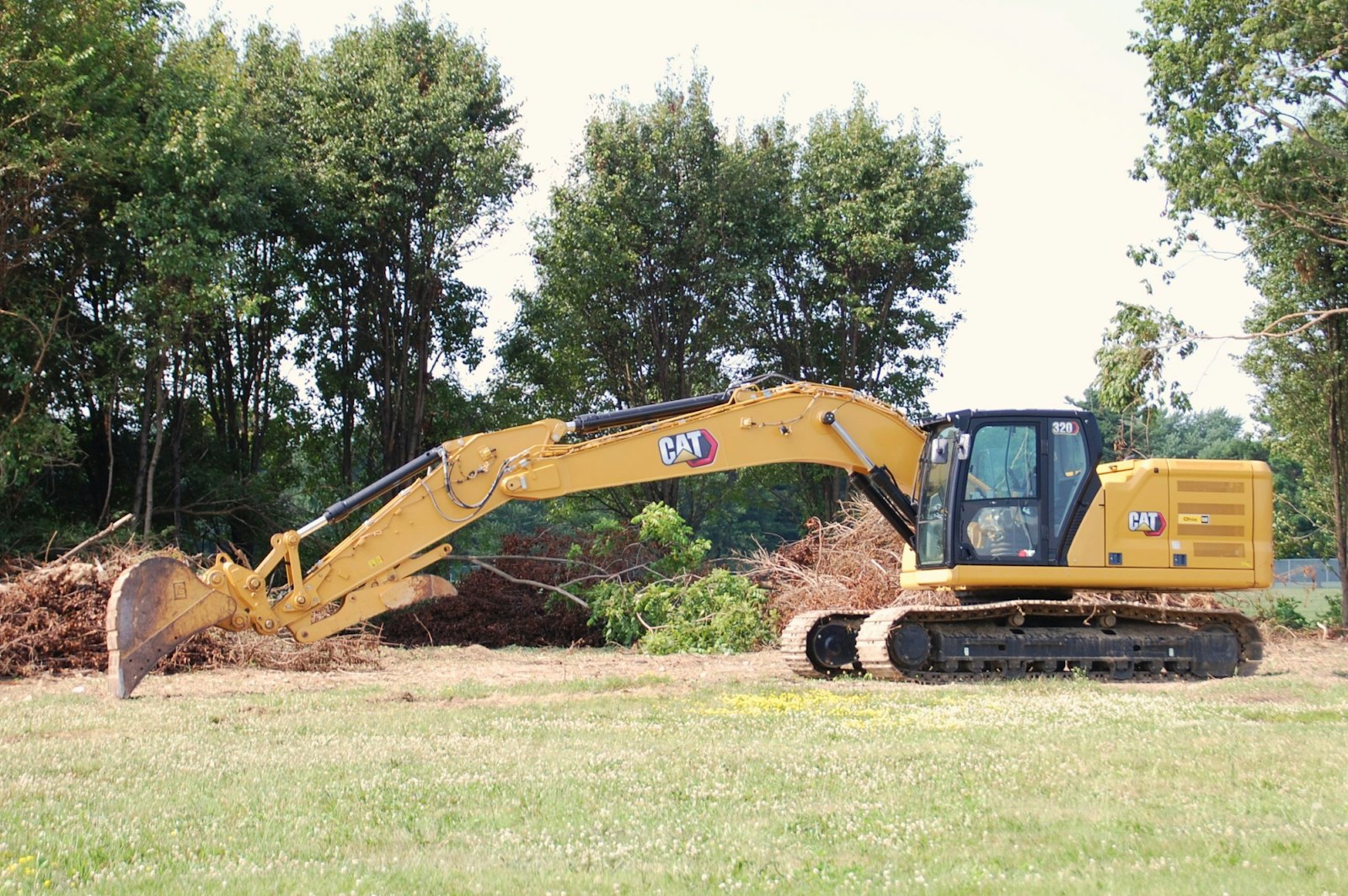 Forestry Mulching vs. Cut-and-Haul Clearing: Which One Your Maury County Acreage Actually Needs