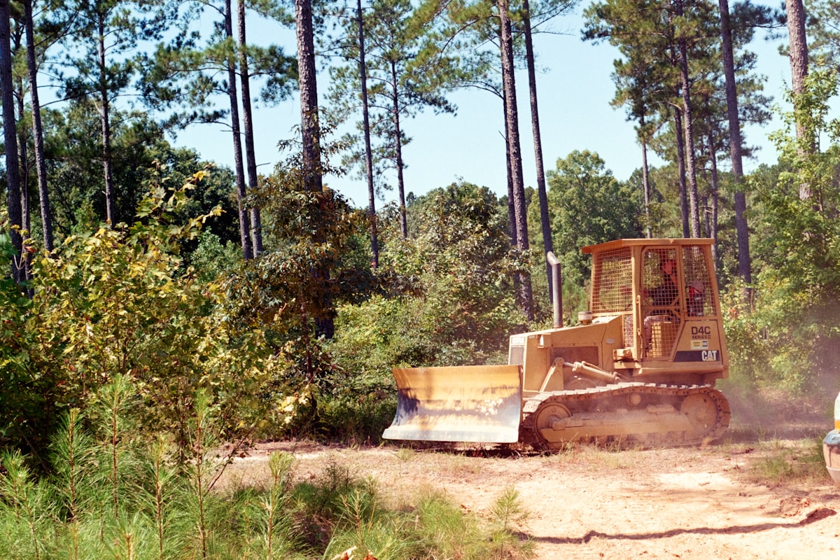 Dozer clearing brush along a wooded treeline on a Middle Tennessee property