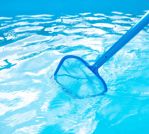 Palm Desert Routine Cleaning & Maintenance