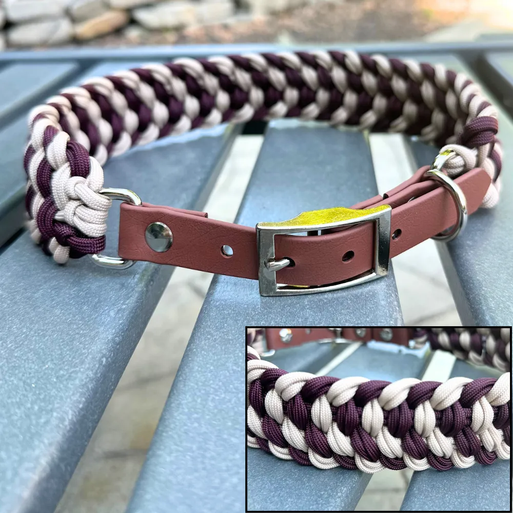 burgundy cream brown collar