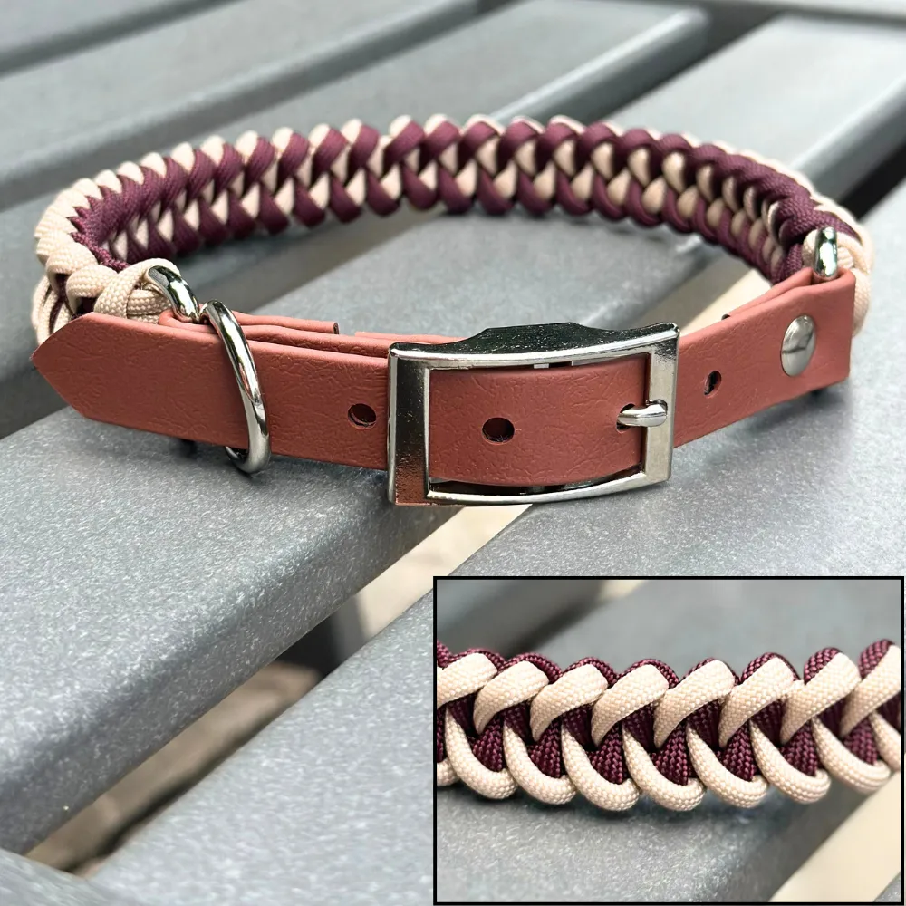 burgundy light tan dog collar