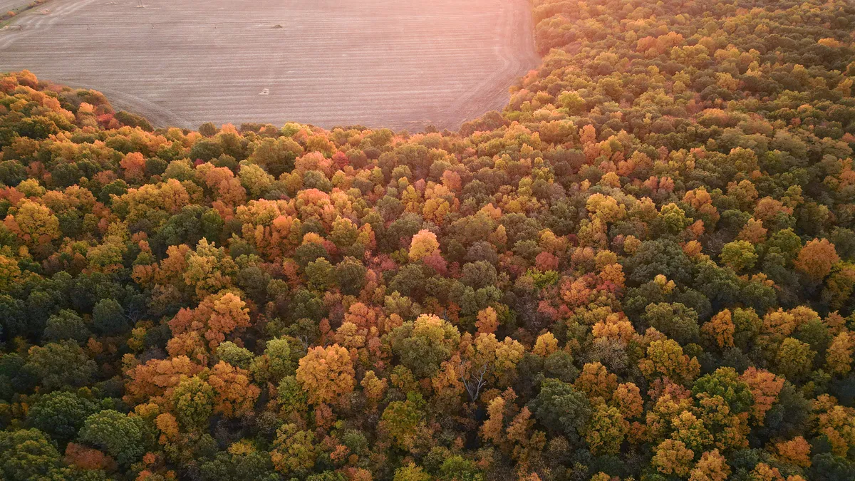 How Illinois' New 2026–2030 Waterfowl Zone Lines Change What Duck Hunting Land Is Worth
