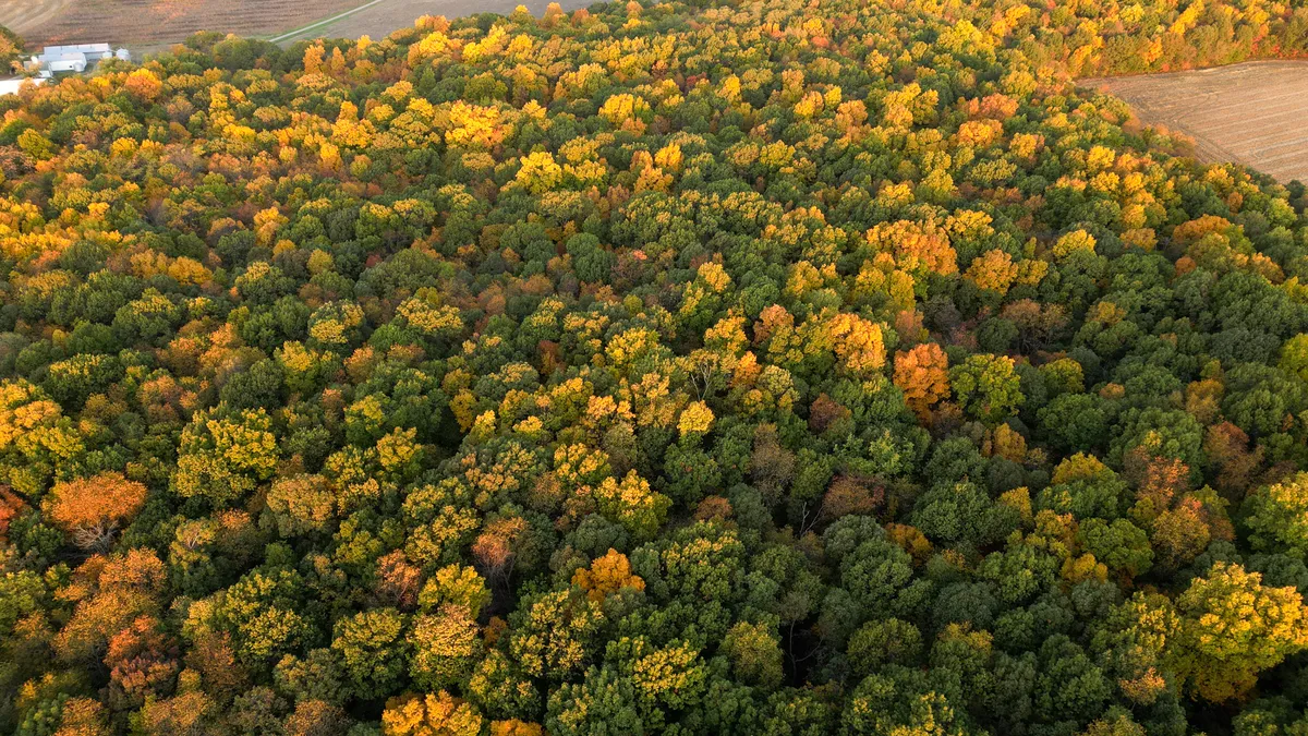 What Pike County Hunting Land Actually Sells For in 2026 — And Why It's Different From Cass or Brown