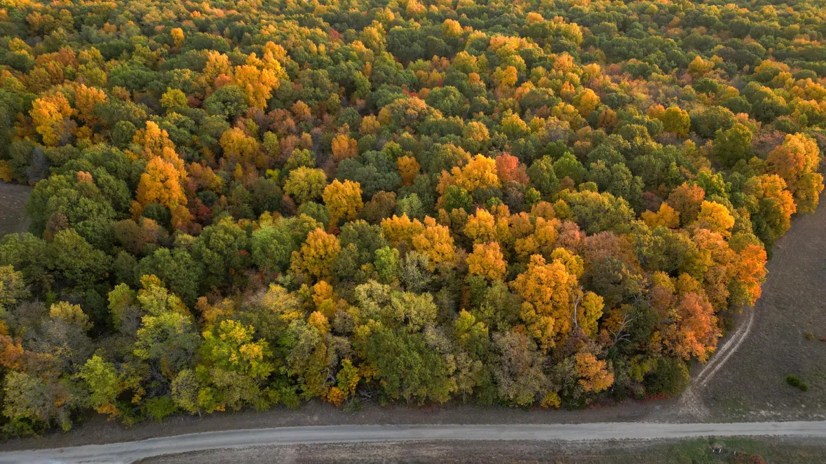 Aerial view of Illinois river timber and agricultural fields in fall — prime hunting ground terrain