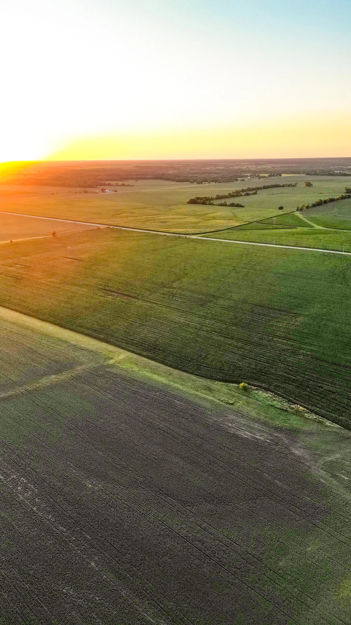 Illinois farmland representing decisions around selling agricultural land and current market conditions