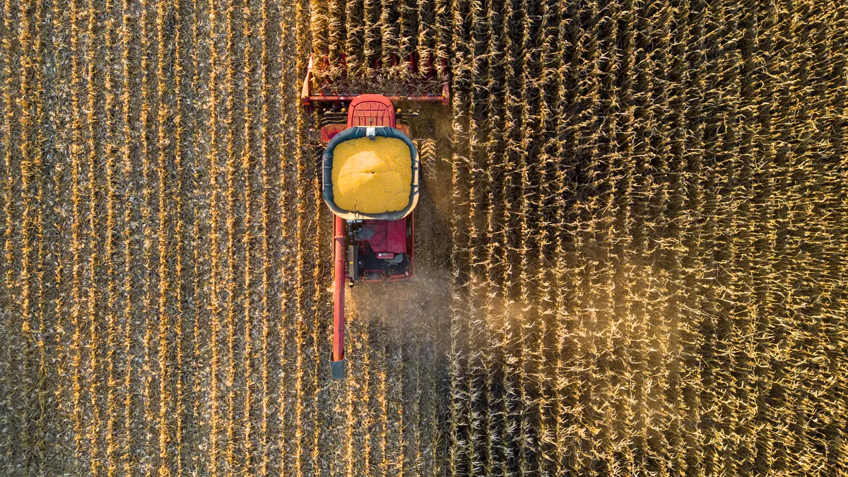 What 2027 Cash Rent Should Look Like on Your Menard County Farm After This Year's Yields