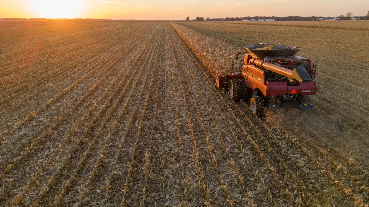 Cash Rent or Crop Share — Which One Wins in Central Illinois Right Now
