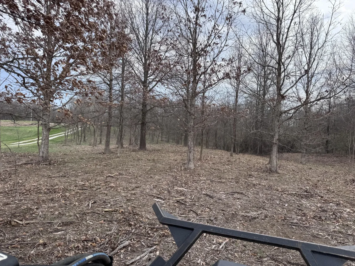 Overgrown central Illinois timber property being cleared of autumn olive and invasive species using skid steer mulcher, before and after land reclamation