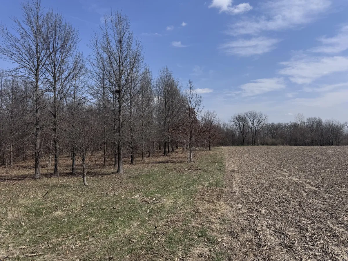 Hardwood timber planting on central Illinois legacy property — generational land stewardship — Archer Realty