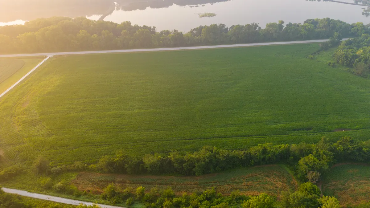 Pheasant and Quail Season Opens November 7 — What Brown and Schuyler County CRP Ground Is Actually Doing