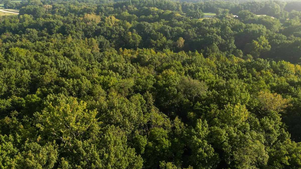 Brown County Illinois Hunting Land — The Timber County Nobody Talks About