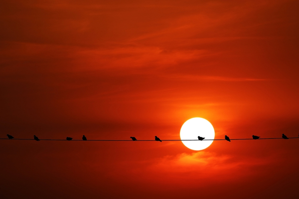 What Does "Above the Line" Leadership Mean?