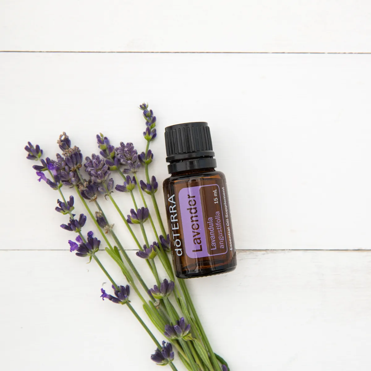 lavender-doterra-katalin-hek