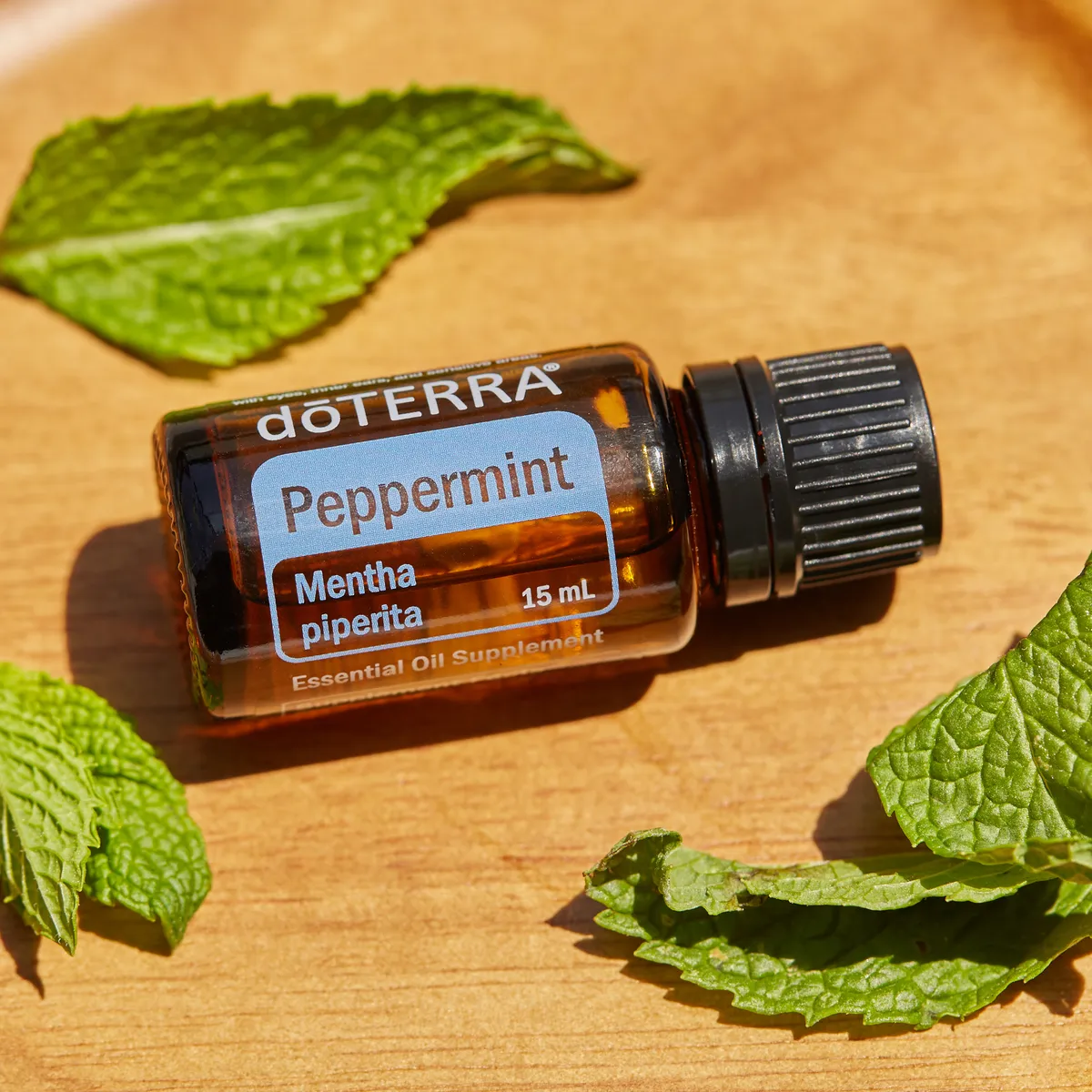 peppermint-doterra-katalin-hek