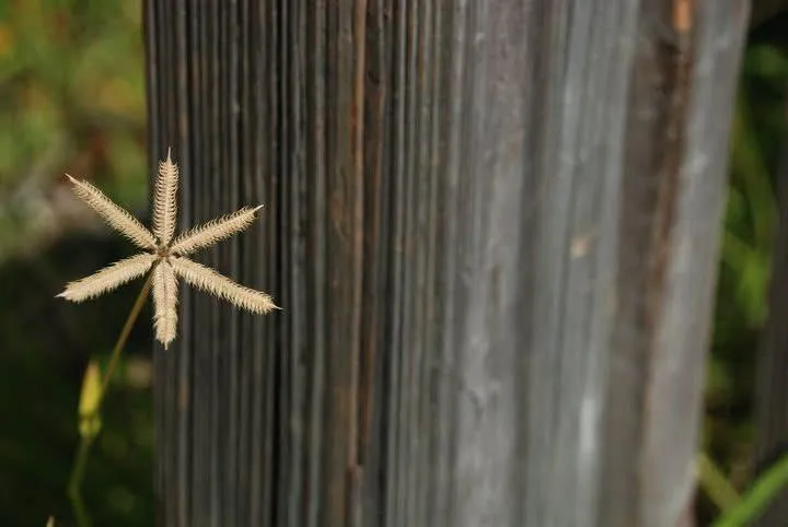 Elegant open-plan living room with floor-to-ceiling windows, plush white sofas, and ocean-inspired artwork.