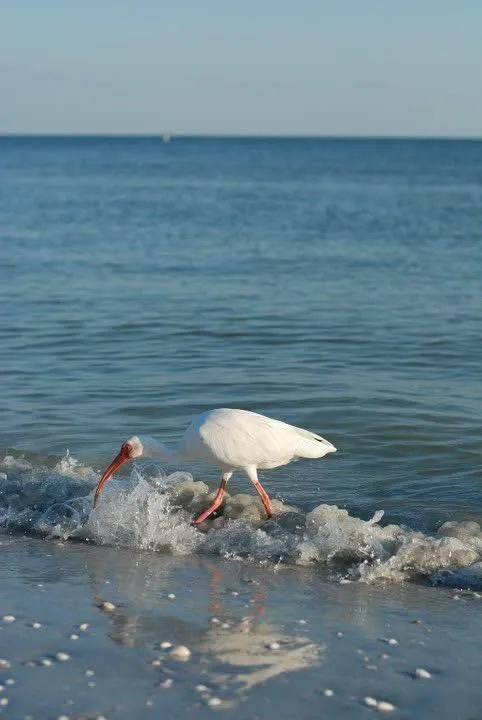 Elegant open-plan living room with floor-to-ceiling windows, plush white sofas, and ocean-inspired artwork.