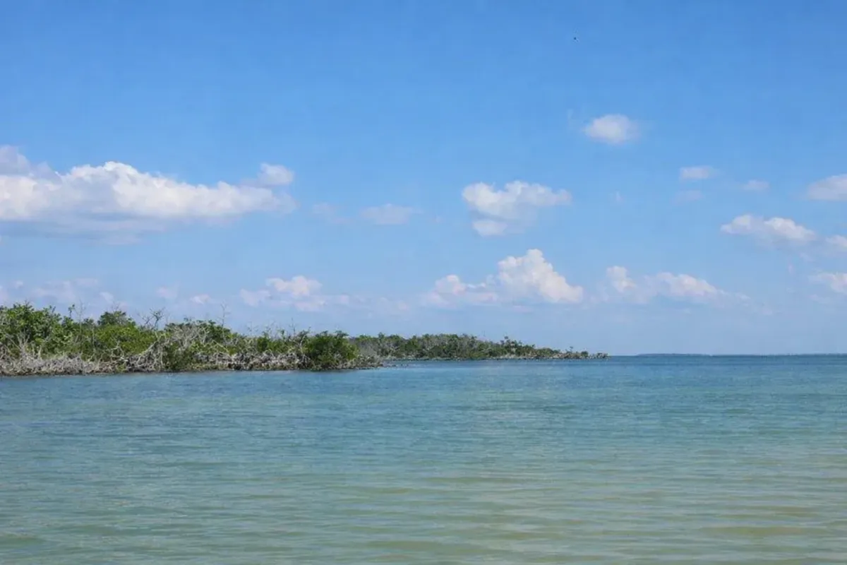 Spacious master suite with king bed, luxury linens, and a balcony view of the Gulf.