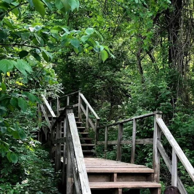 wooden walkway leading into wildlife reserve in vienna wv