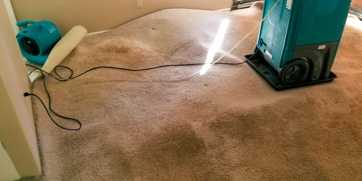 carpet being treated for water damage