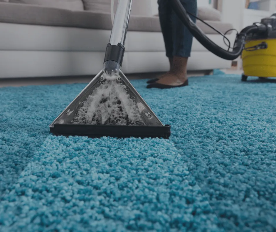 professional carpet cleaning from new way