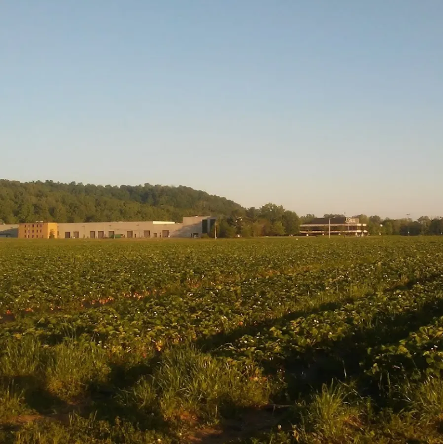 view of farmland in reno OH