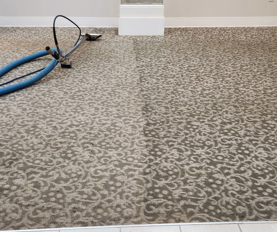 patterned carpet cleaning by professional carpet cleaners