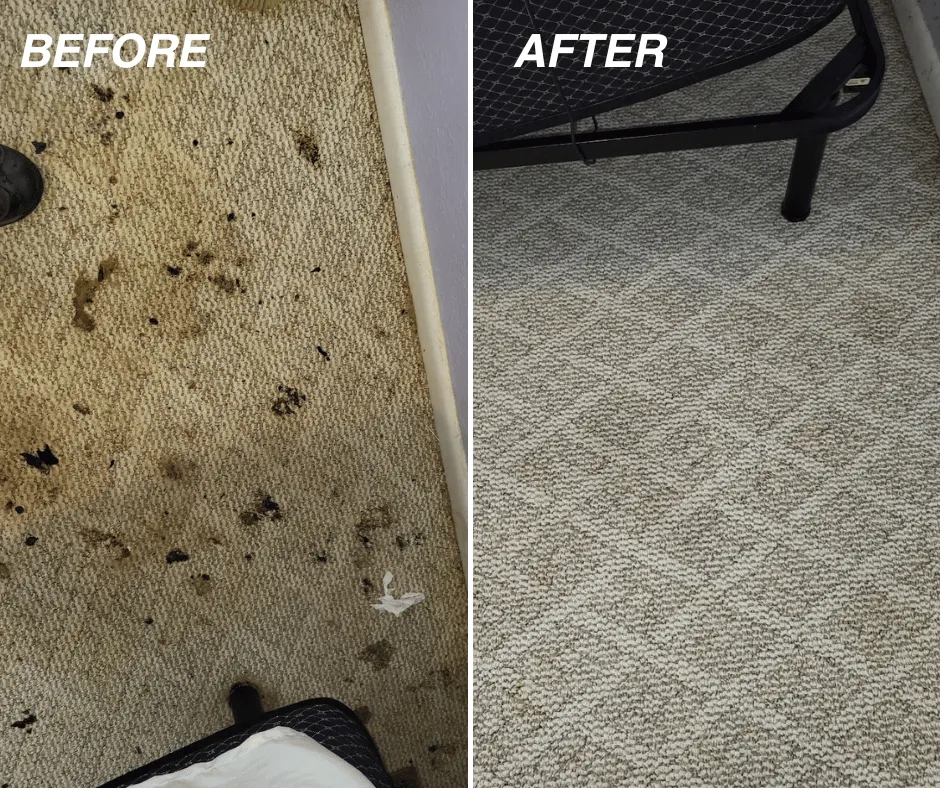 dirty carpet before and after cleaning by new way