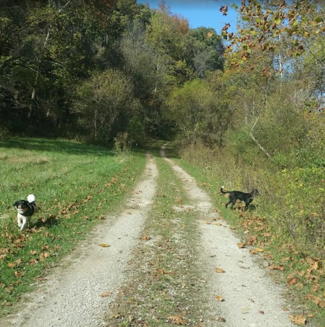 gravel pathway in a park in north hills, WV