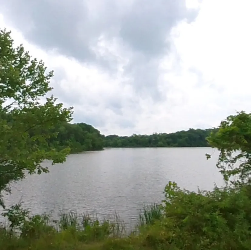 veto lake surrounded by trees