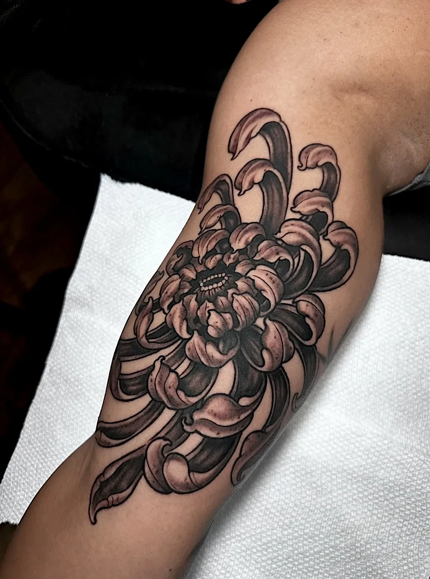 Black and grey chrysanthemum flower tattoo with sweeping layered petals